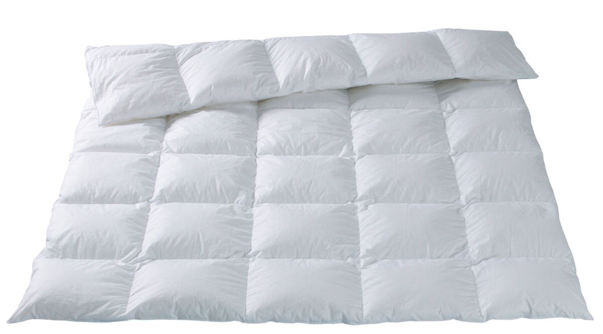 Eiderdaunen - Duvet - GARDENIA Dorbena Z 20201