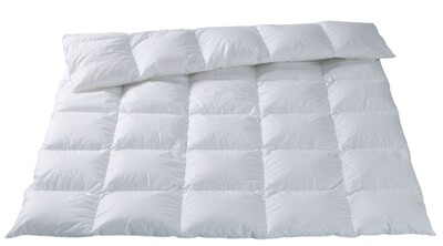 Eiderdaunen - Duvet - GARDENIA Dorbena Z 20201
