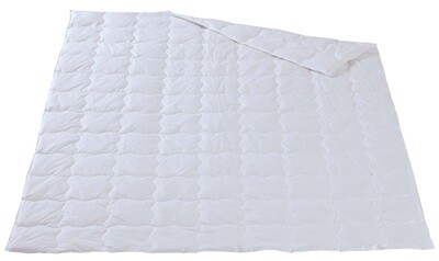 Leicht Duvet Gänsedaunen - Dorbena Z 20001