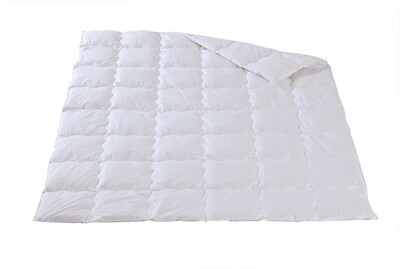 Leichtes Ganzjahresduvet Gänsedaunen - Dorbena Z 20003