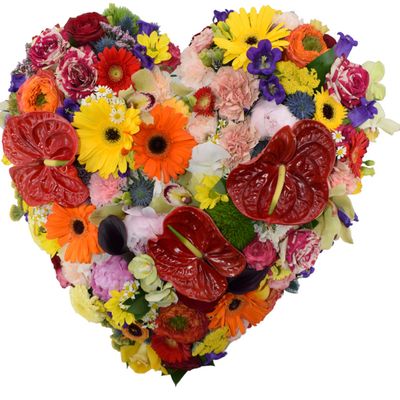 HEART MULTICOLOR