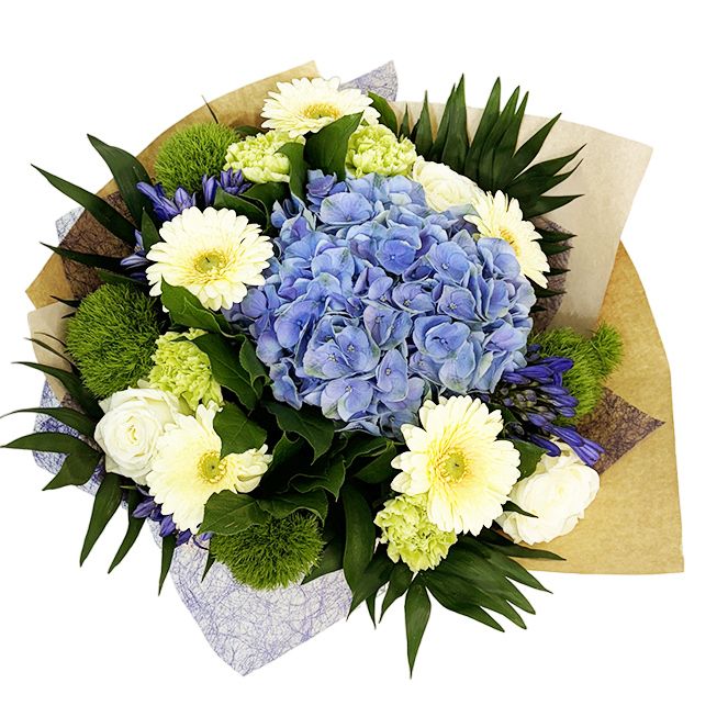 REVES BLEUS