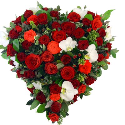 RED HEART