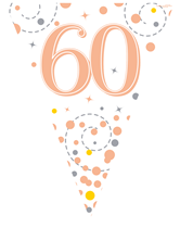 Rose Gold Happy 60th Birthday Flag Bunting