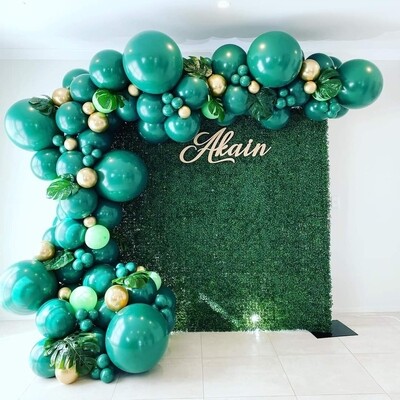 Balloon Packages and Backdrop setups