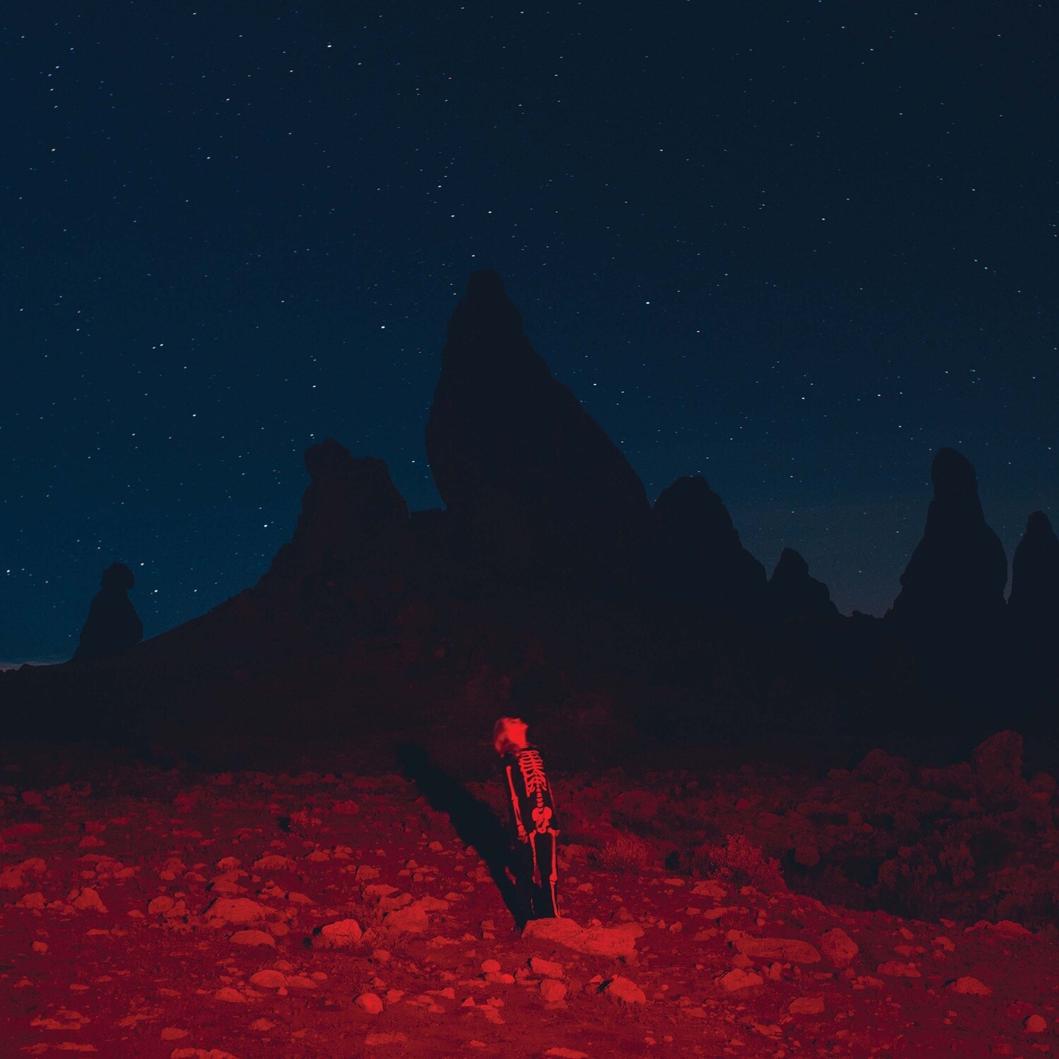 Phoebe Bridgers - Punisher [LP]