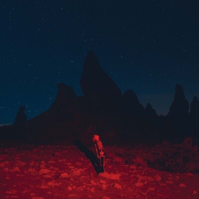 Phoebe Bridgers - Punisher [LP]