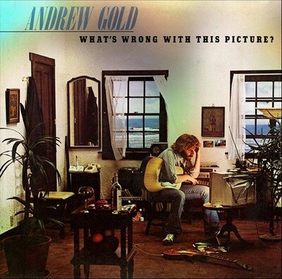 Andrew Gold - What&#39;s Wrong with This Picture? [LP] VINTAGE