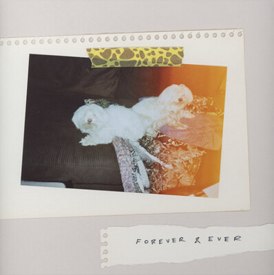 Sales - Forever &amp; Ever [LP] clear vinyl