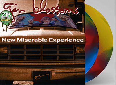 Gin Blossoms - New Miserable Experience [2LP] southwest horizons colored vinyl, limited to 250 copies