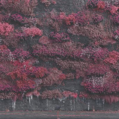 Sleep Token - Even In Arcadia [2LP]
