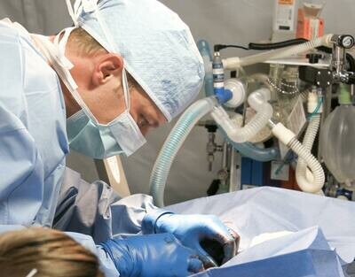 Basiscursus chirurgie 8 en 9 april 2027