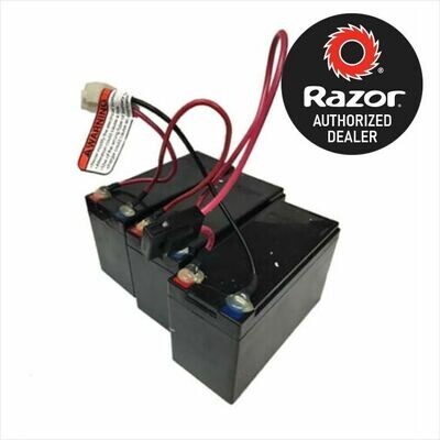 Razor 36 volt Battery W13114501003 EcoSmart Scooter Fuse