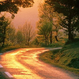GOLDEN ROAD