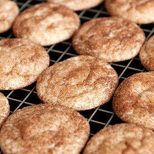 SNICKERDOODLE