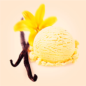 VANILLA BEAN ICE CREAM VBIC