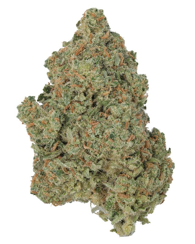 Jack Herer | Premium THCa Flower