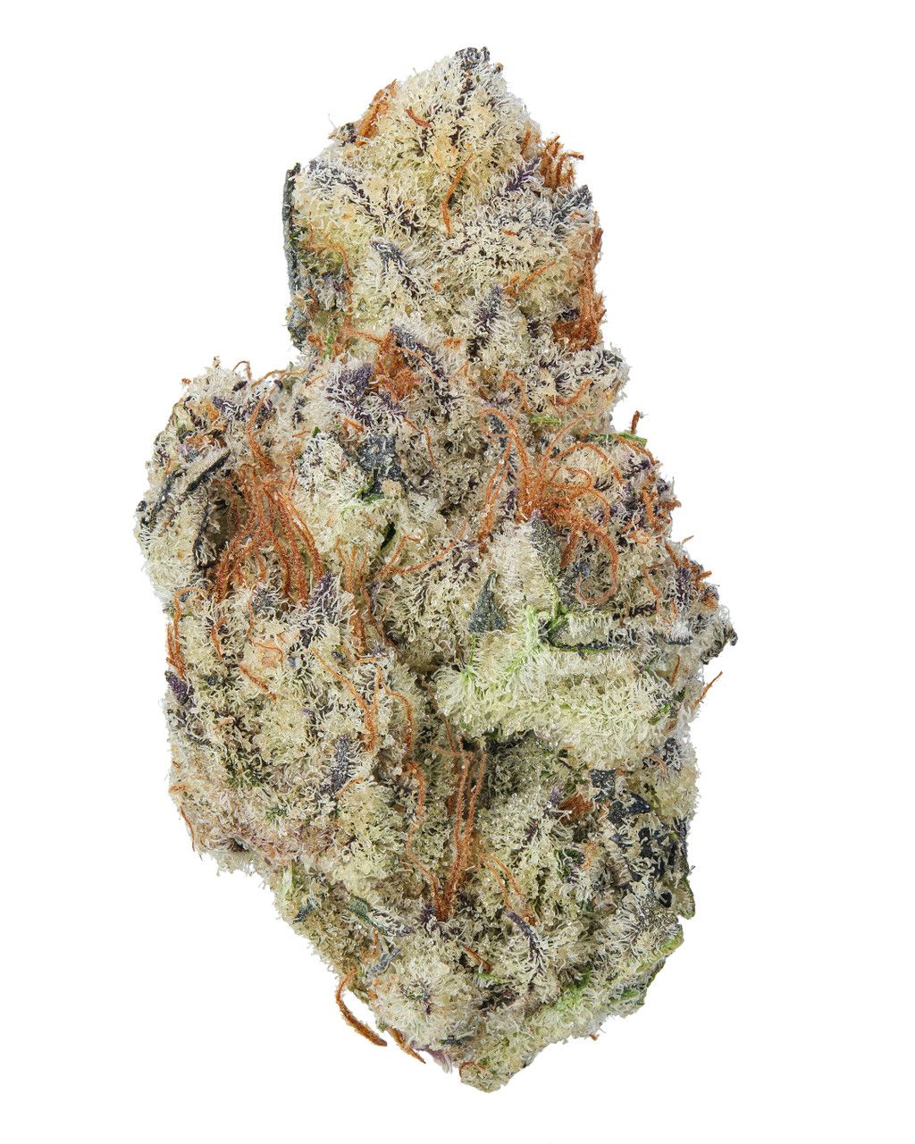 Lambo OG | Select THCa Flower