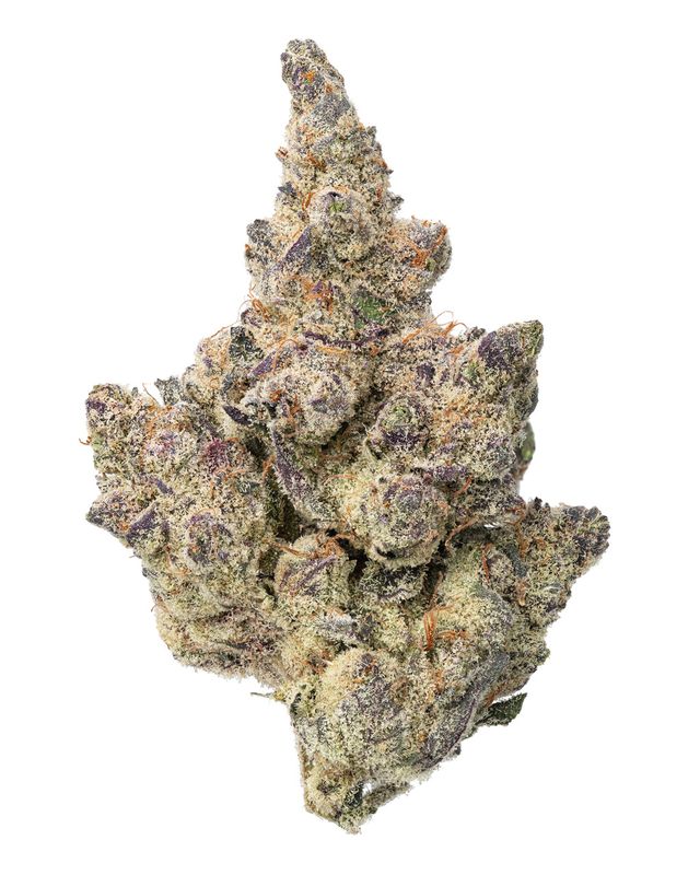 Cinderella 99 | Premium THCa Flower
