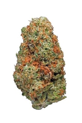Tangie Orange