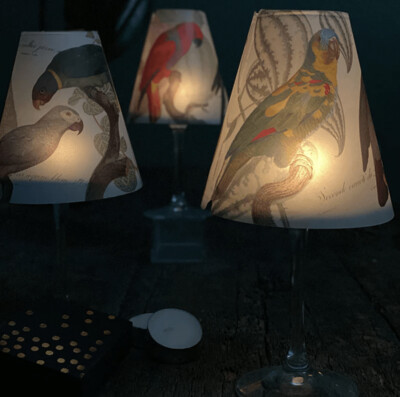 INDIGO DE PAPEL Lamp Shade · Parrots