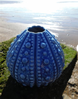 Blue Echinus Vase
