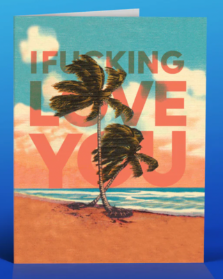 OFFENSIVE & DELIGHTFUL CARD - I fucking love you
