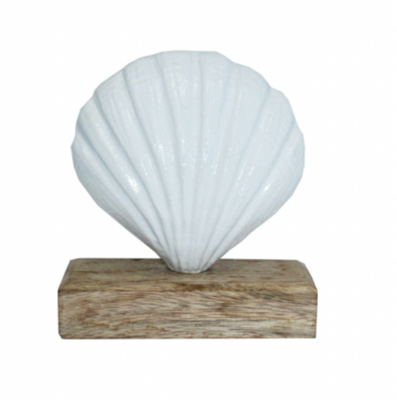 Shell On Wooden Base 16x13x7cm