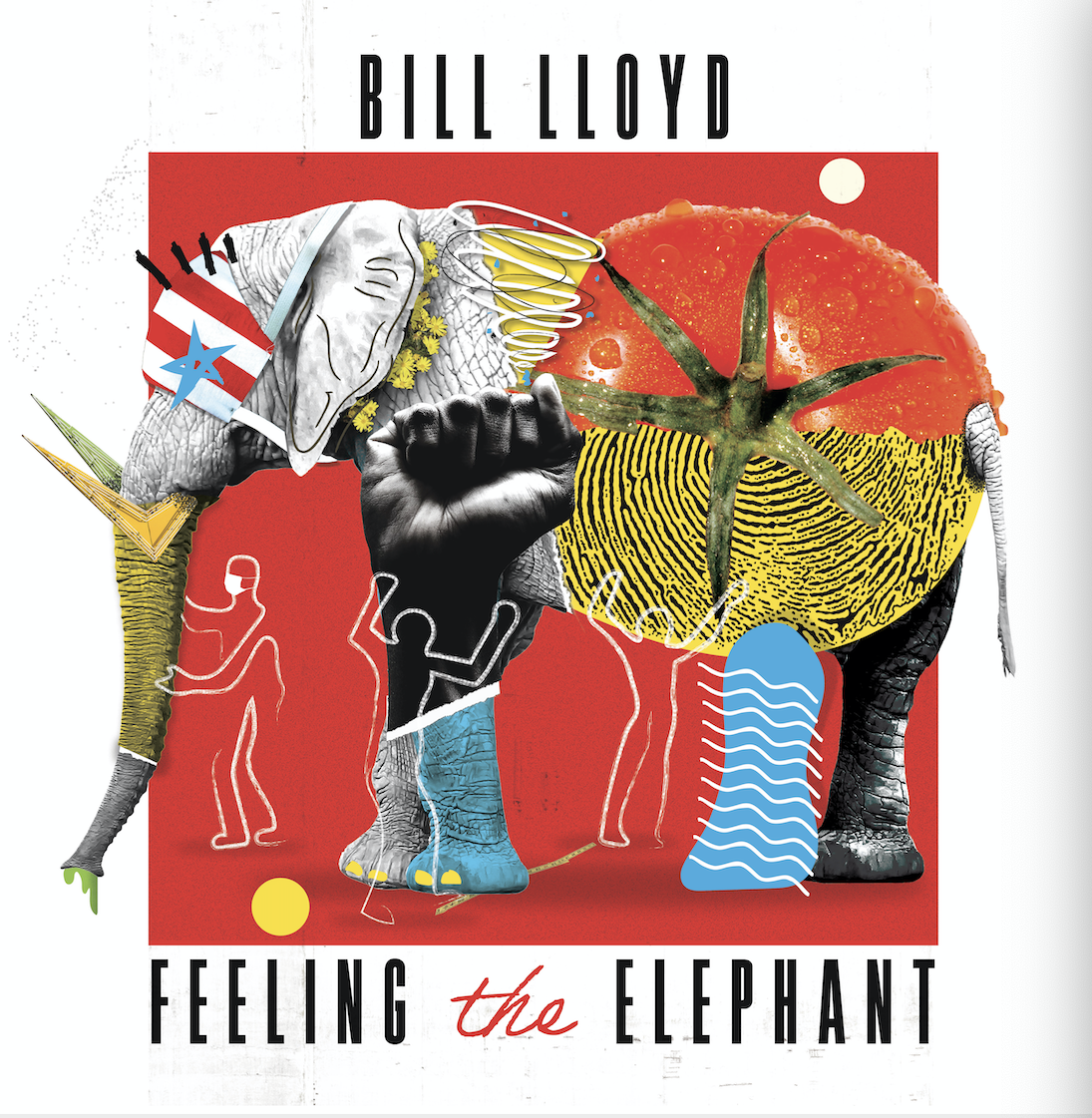 Feeling the Elephant CD