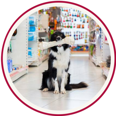 Pet Products
