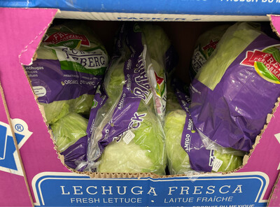 Iceberg Lettuce 3pz