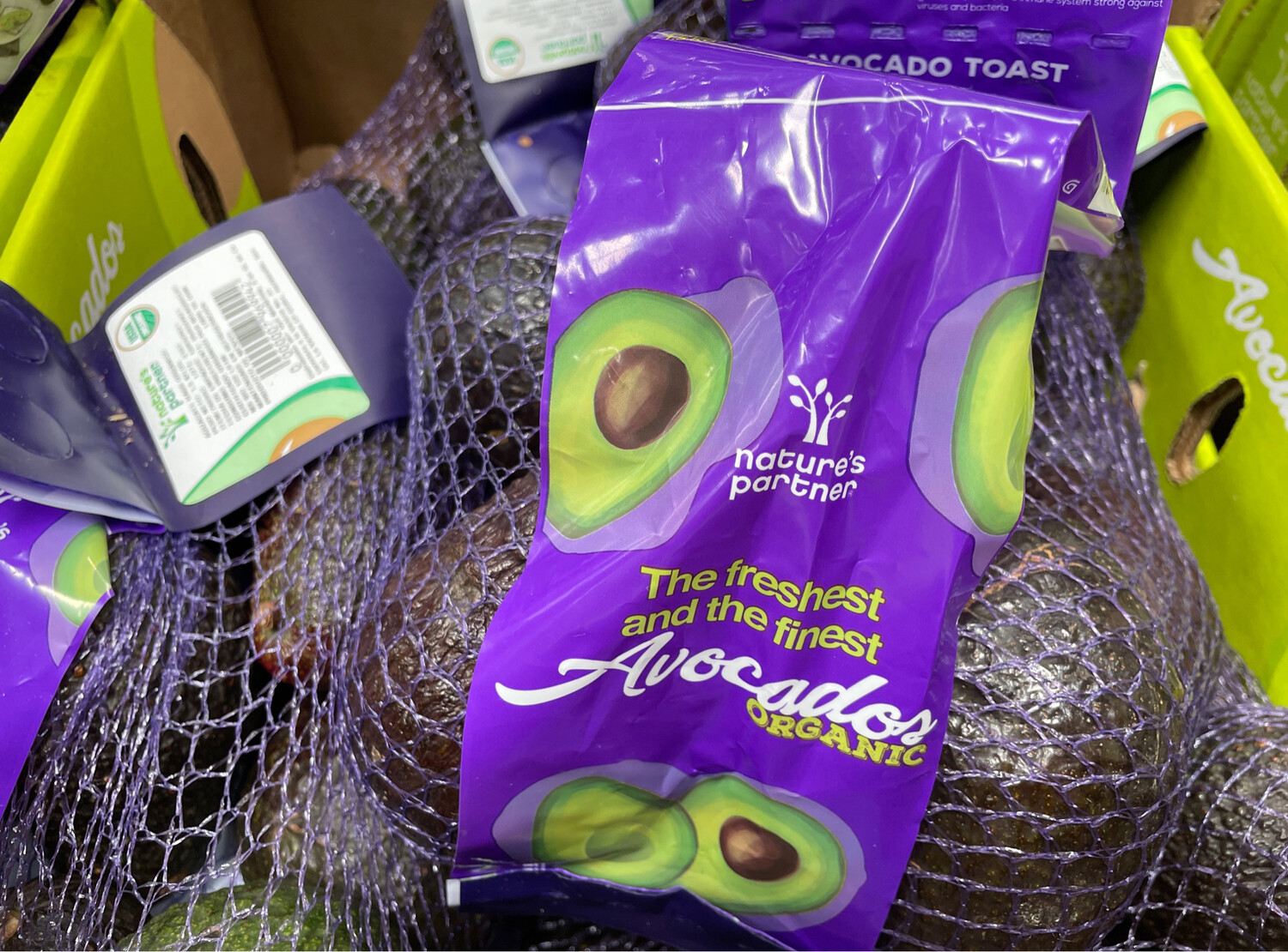 Hass Organic Avocados (1.5 k)