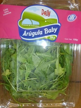 Fresh Baby Arugula