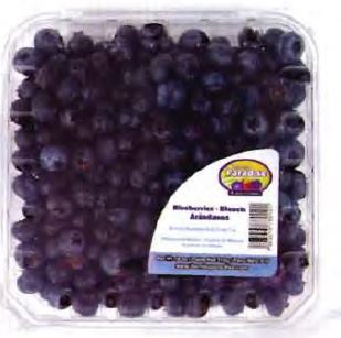 Fresh Blueberries - 510 g