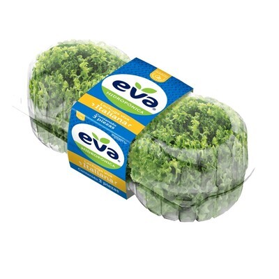 Eva Italian Lettuce 3pz 