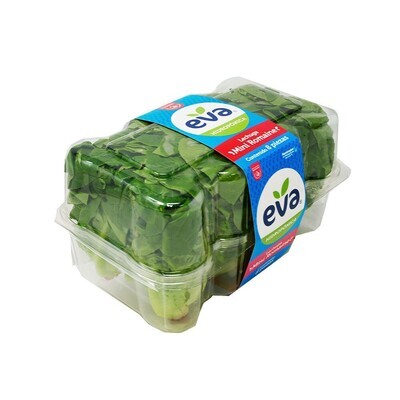 Eva Fresh Mini-Romaine Lettuce (8 in box)