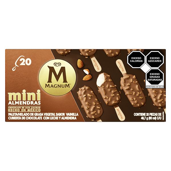 Magnum Mini Ice Cream Bars W/Almonds (20 pcs)