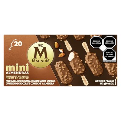 Magnum Mini Ice Cream Bars W/Almonds (20 pcs)