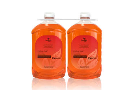 H&amp;BC Antibacterial Liquid Hand Soap - Aloe Vera   *
