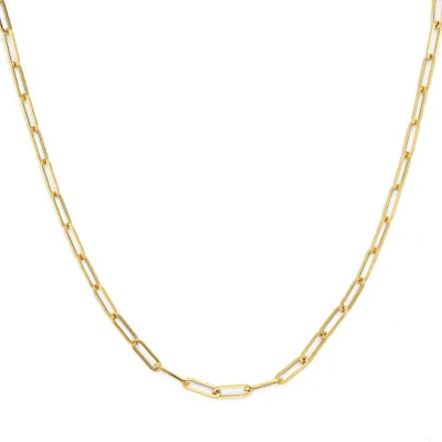 Michael M Paperclip Link Chain