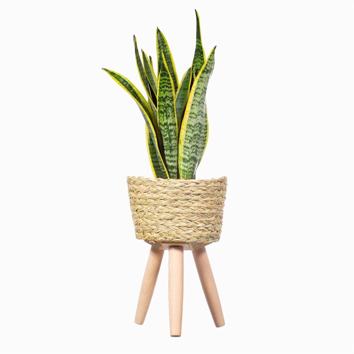 Sass & Belle Basket Planter On Legs - Small