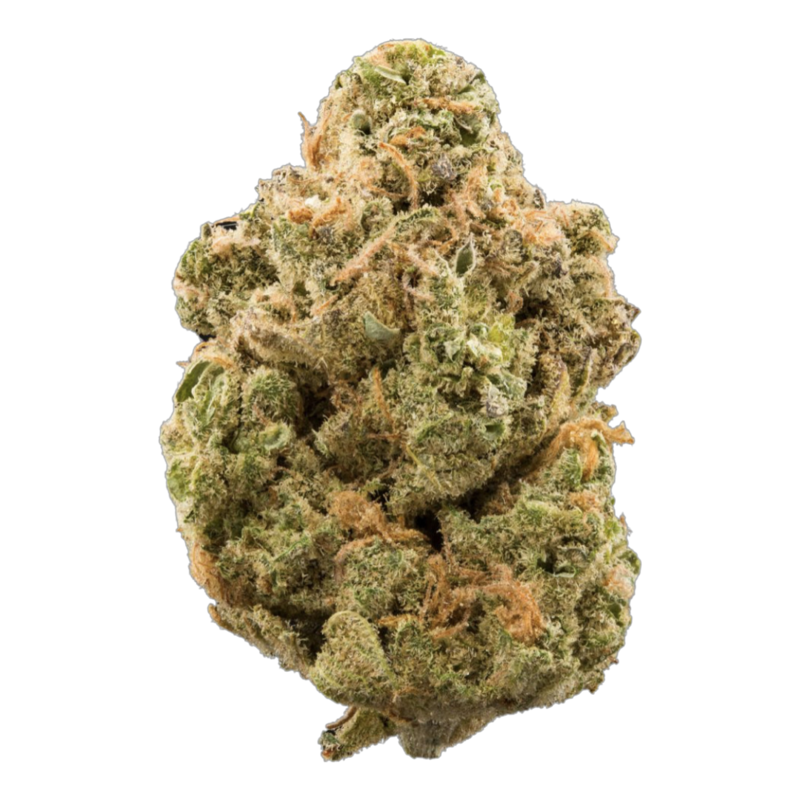 [Premium] Agent Orange Sativa