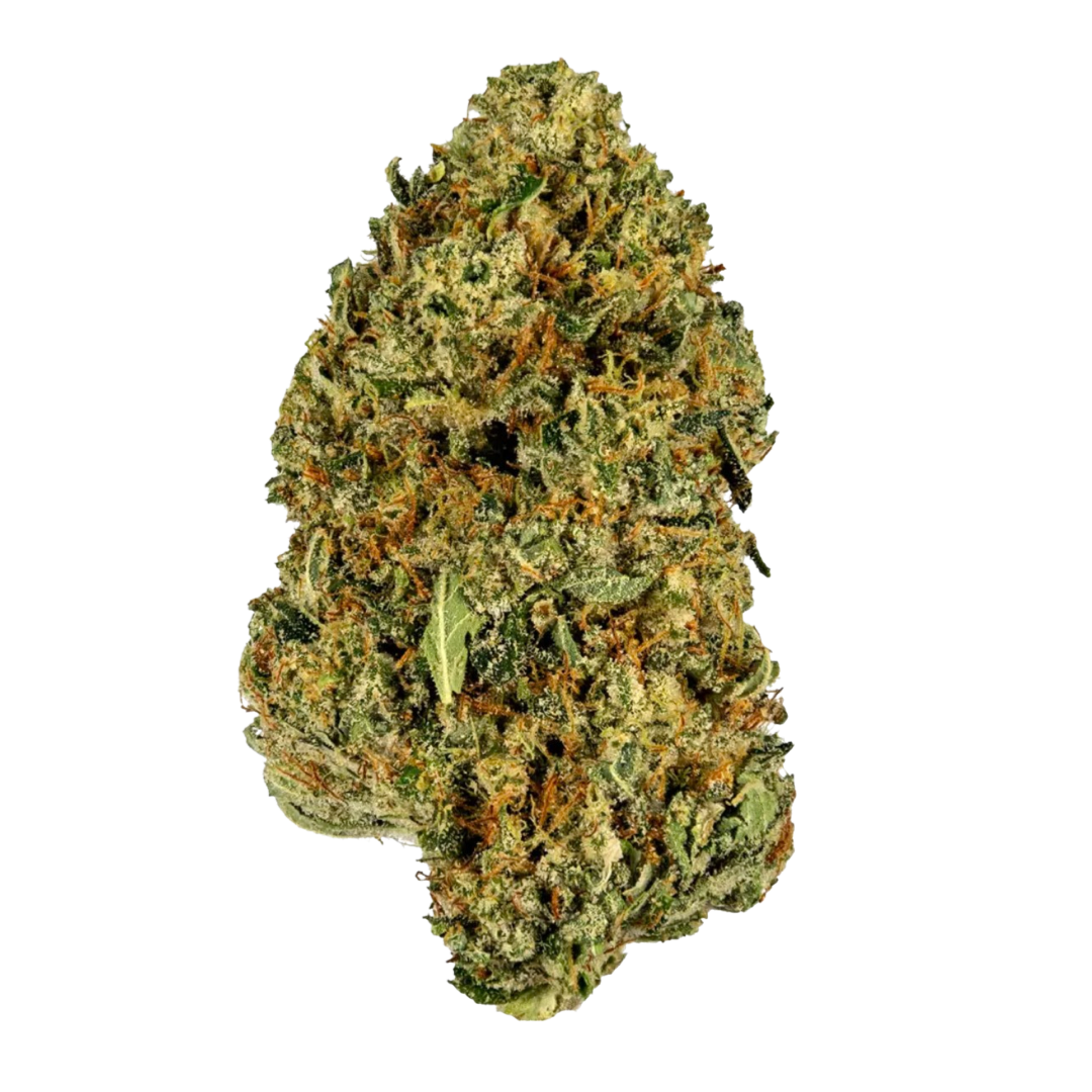 [Premium] Sour Joker - Sativa