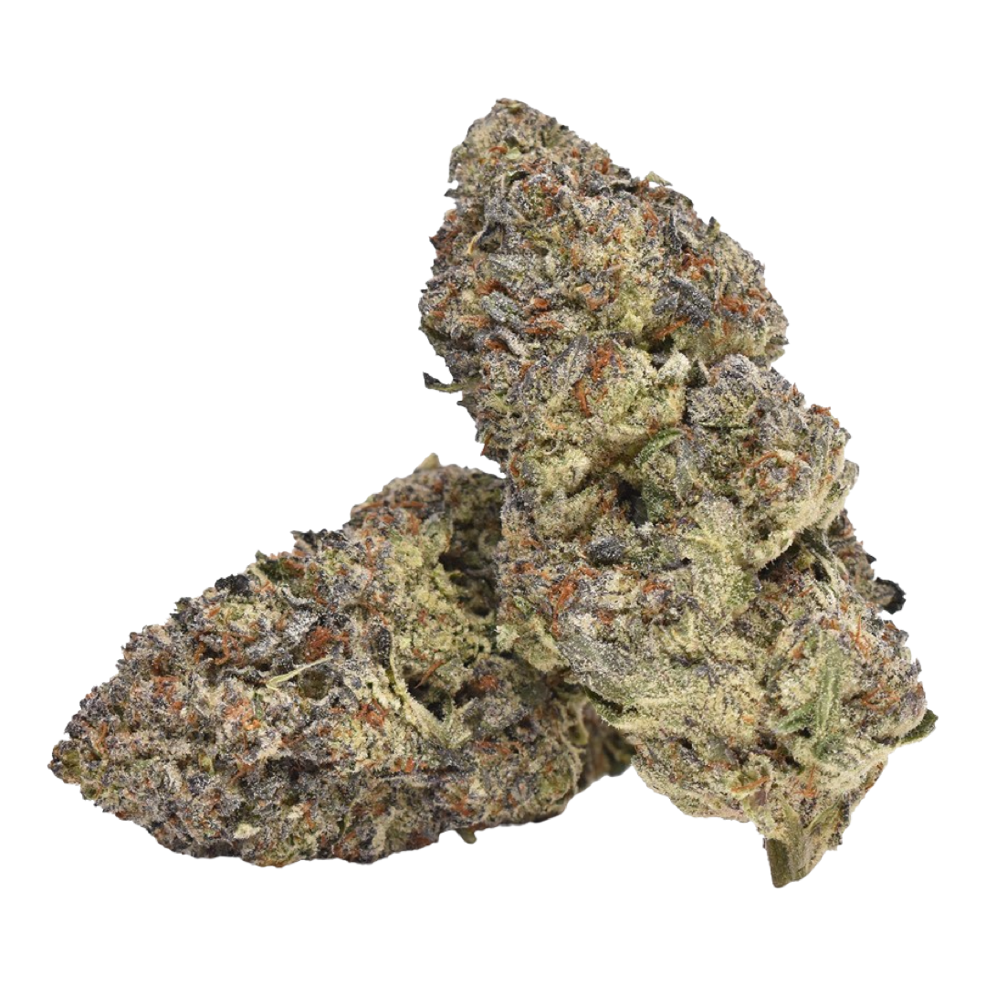 [Top Shelf] Bear Claw Hybrid