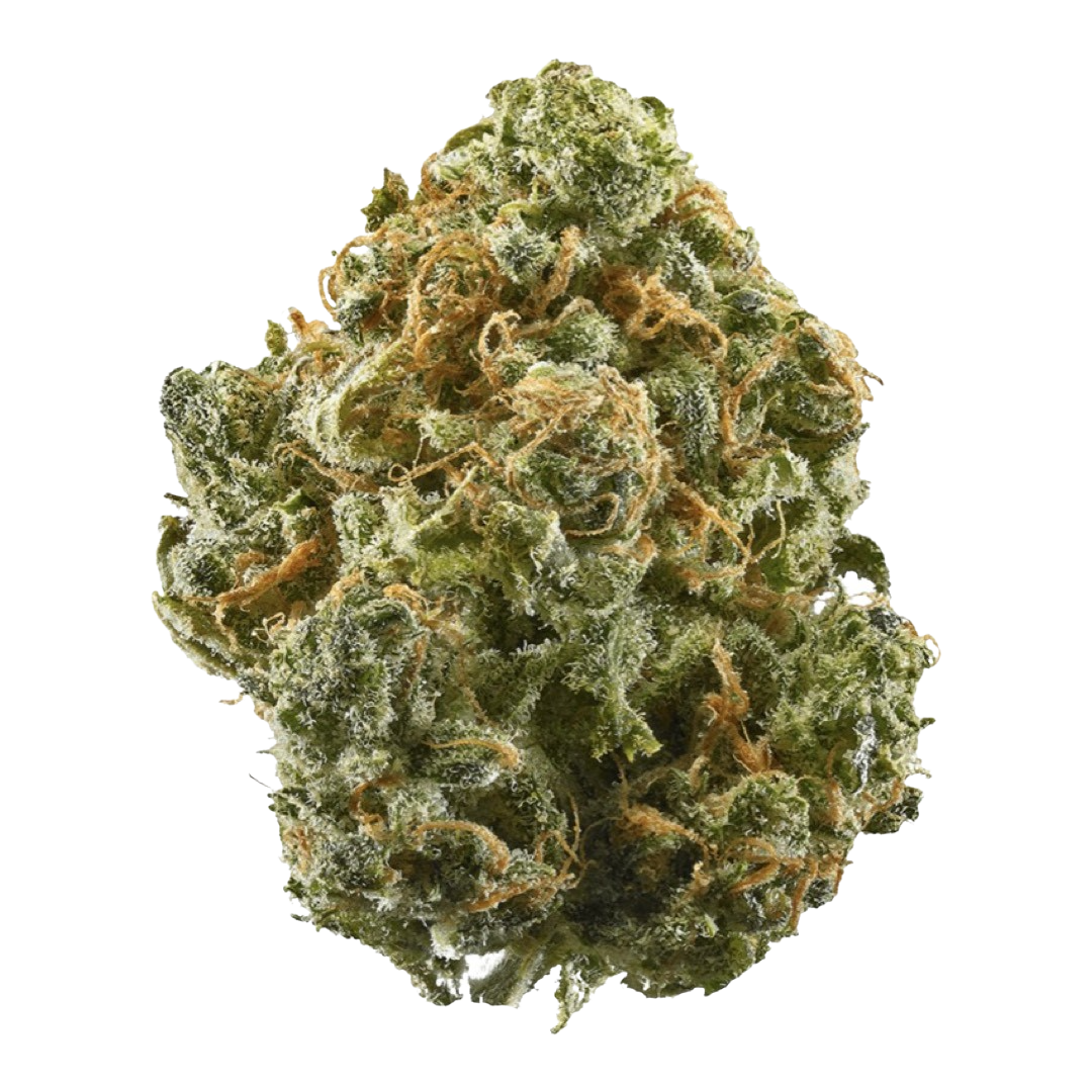 [Premium] Cherry Cream Soda Sativa