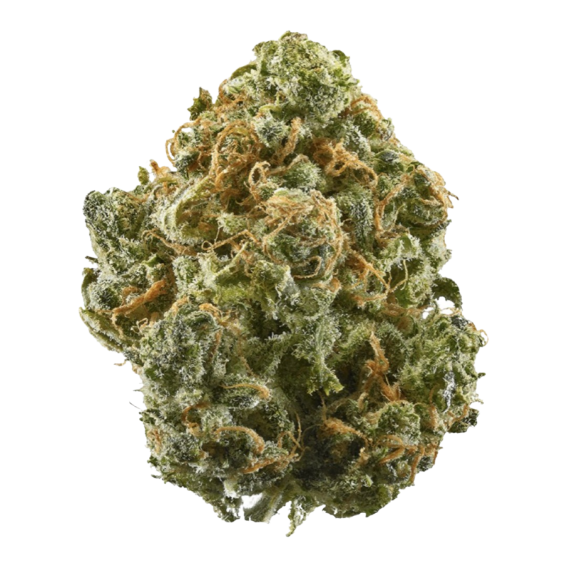 [Premium] Cherry Cream Soda Sativa