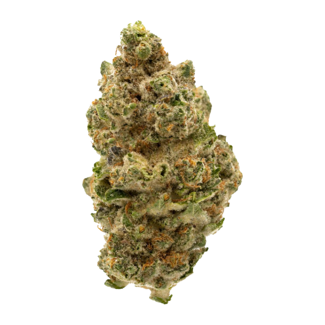 [Premium] Stardawg Indica