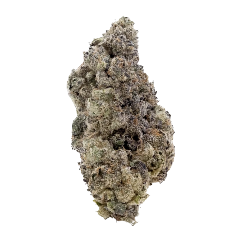 [Premium] Purple Cherry Popper Hybrid