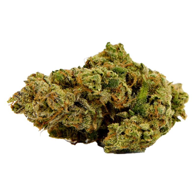 [Premium] G Wagon Sativa