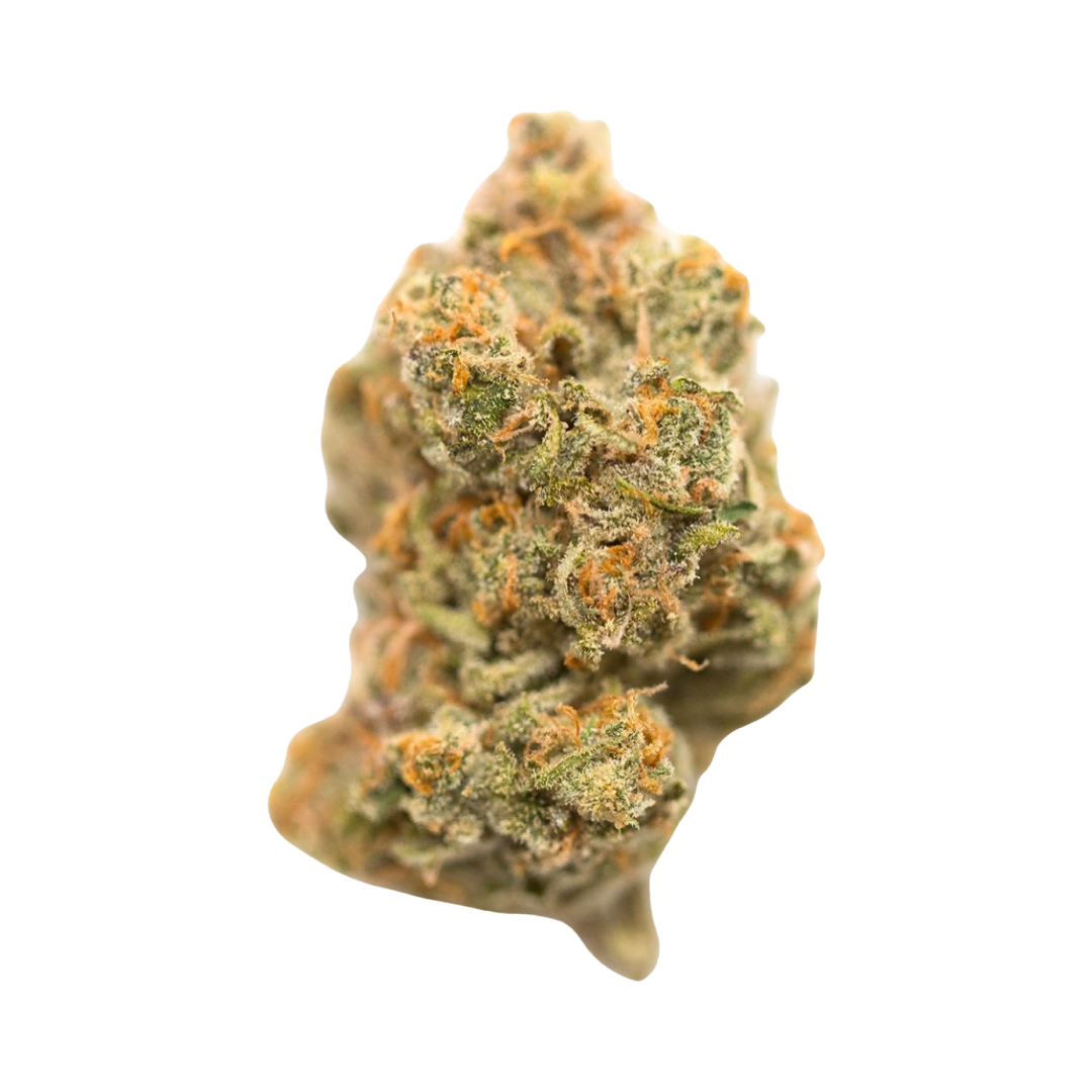 [Premium] Truffle Cake Sativa